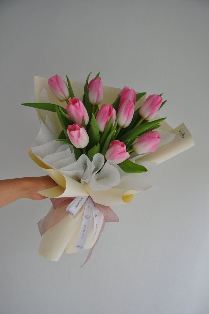 10 Pink Tulips
