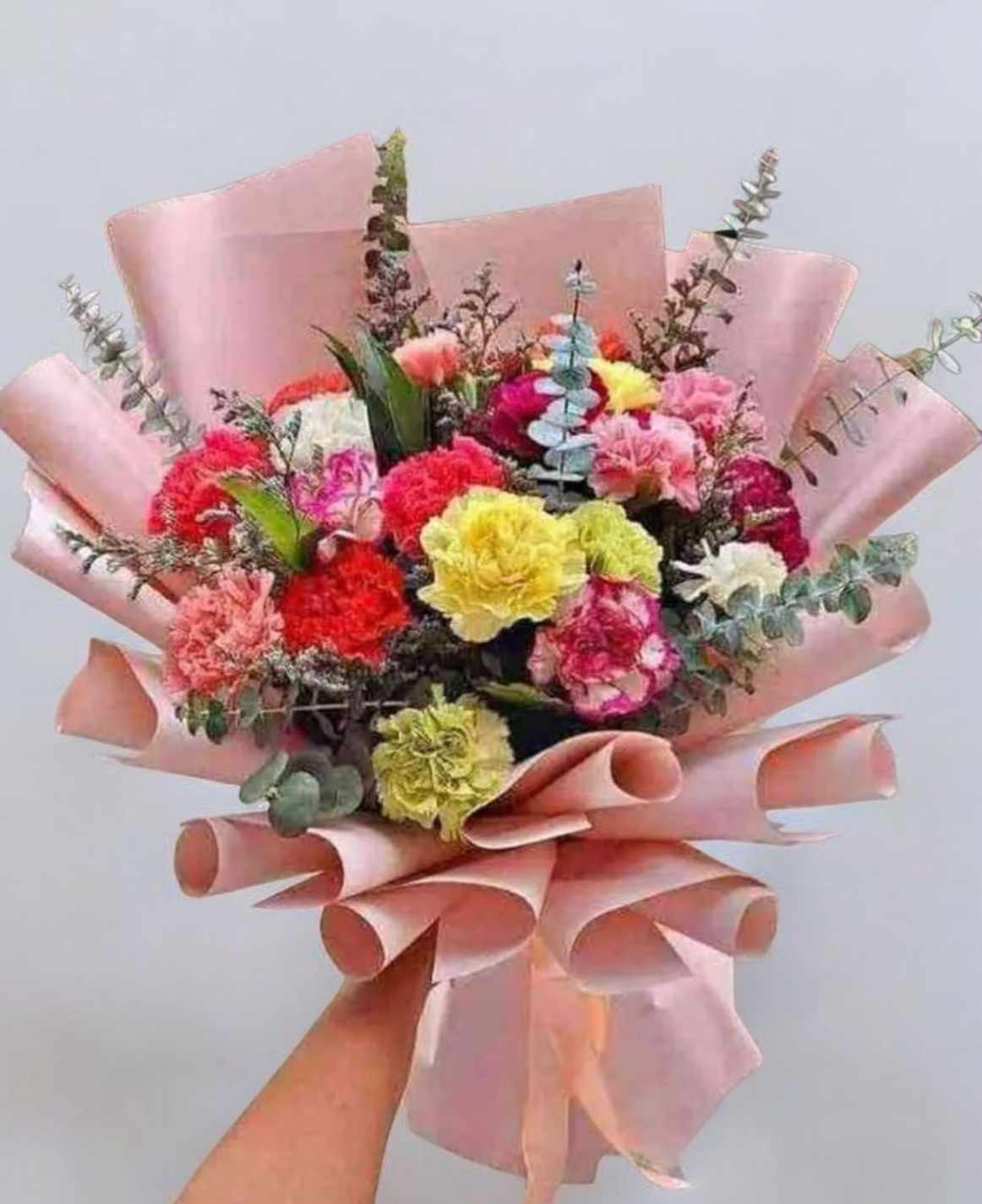 20 Mixed Carnations Bouquet