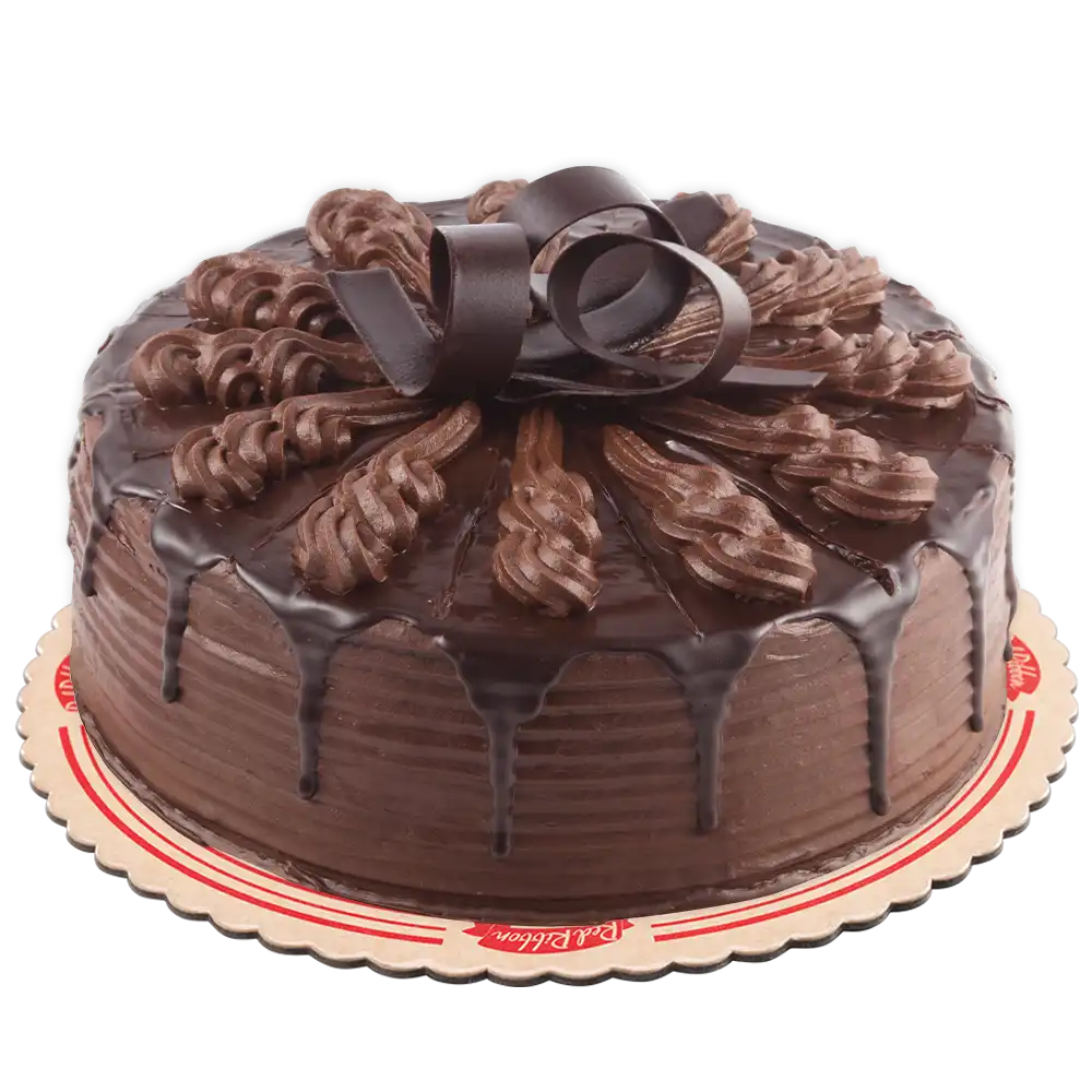 Chocolate Indulgence Cake