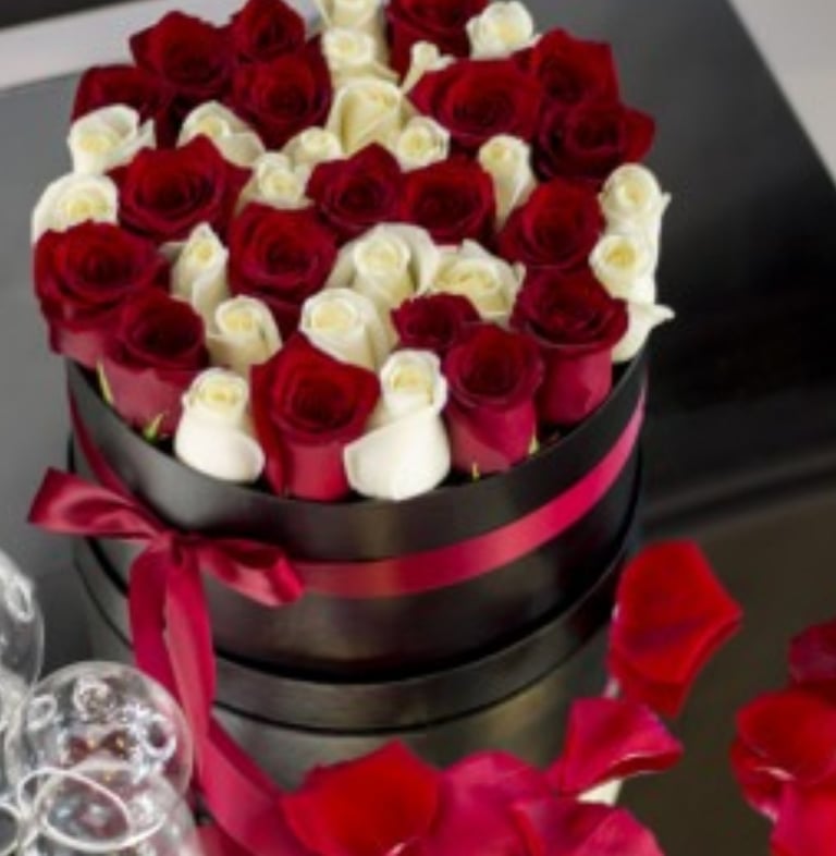 Modern Roses