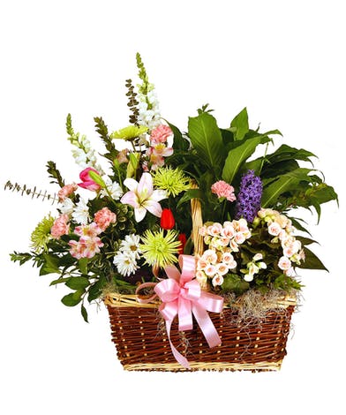 COUNTRY BASKET 1