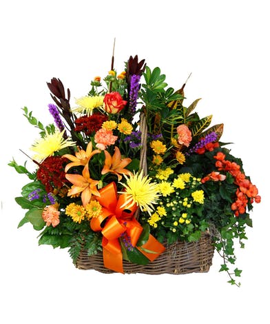 COUNTRY BASKET WITH FRESH FLOWERS AND PLANTS