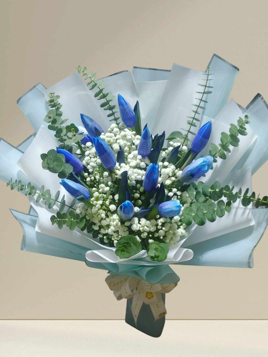 1dz Royal Blue Tulips Bouquet
