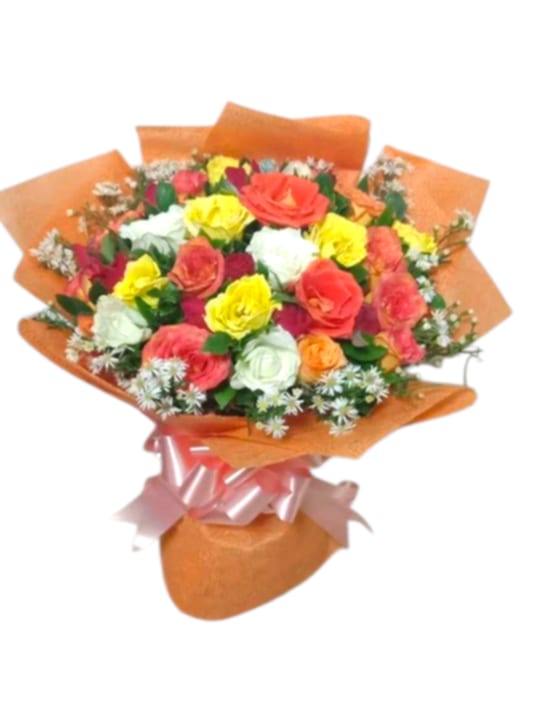 2dz Muticolored Roses