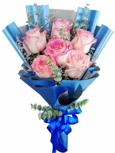 6pcs.  Ecuadorian Soft Pink Roses