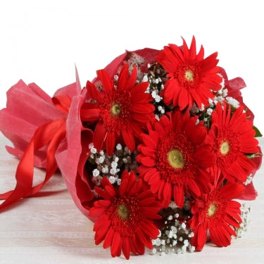 6 Red Gerberas Bouquet
