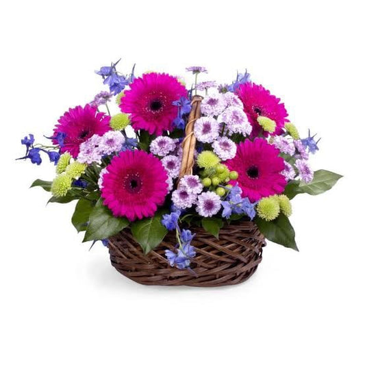 Purple Gerberas and Mums