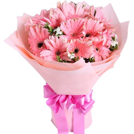 10 Pink Gerberas Bouquet