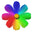 logo of Flowers Delivery Manila | Flower Shop Manila | Gifts Store Philippines
 – Online Flower Express