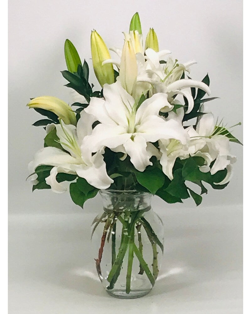 White Lily in Vase