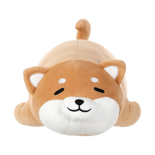 Lying Shiba Inu