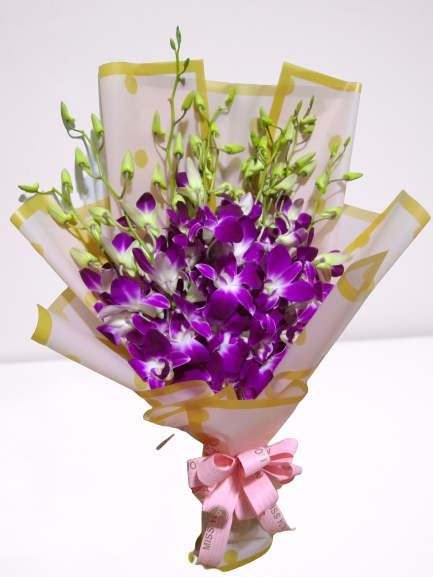 1dz Orchid Purple
