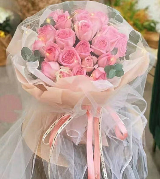 Soft Pink roses in a Long mesh